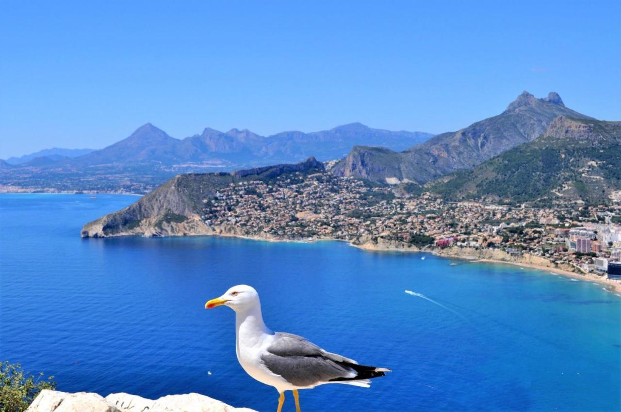 Apartament Vcari0406 Calpe Zewnętrze zdjęcie